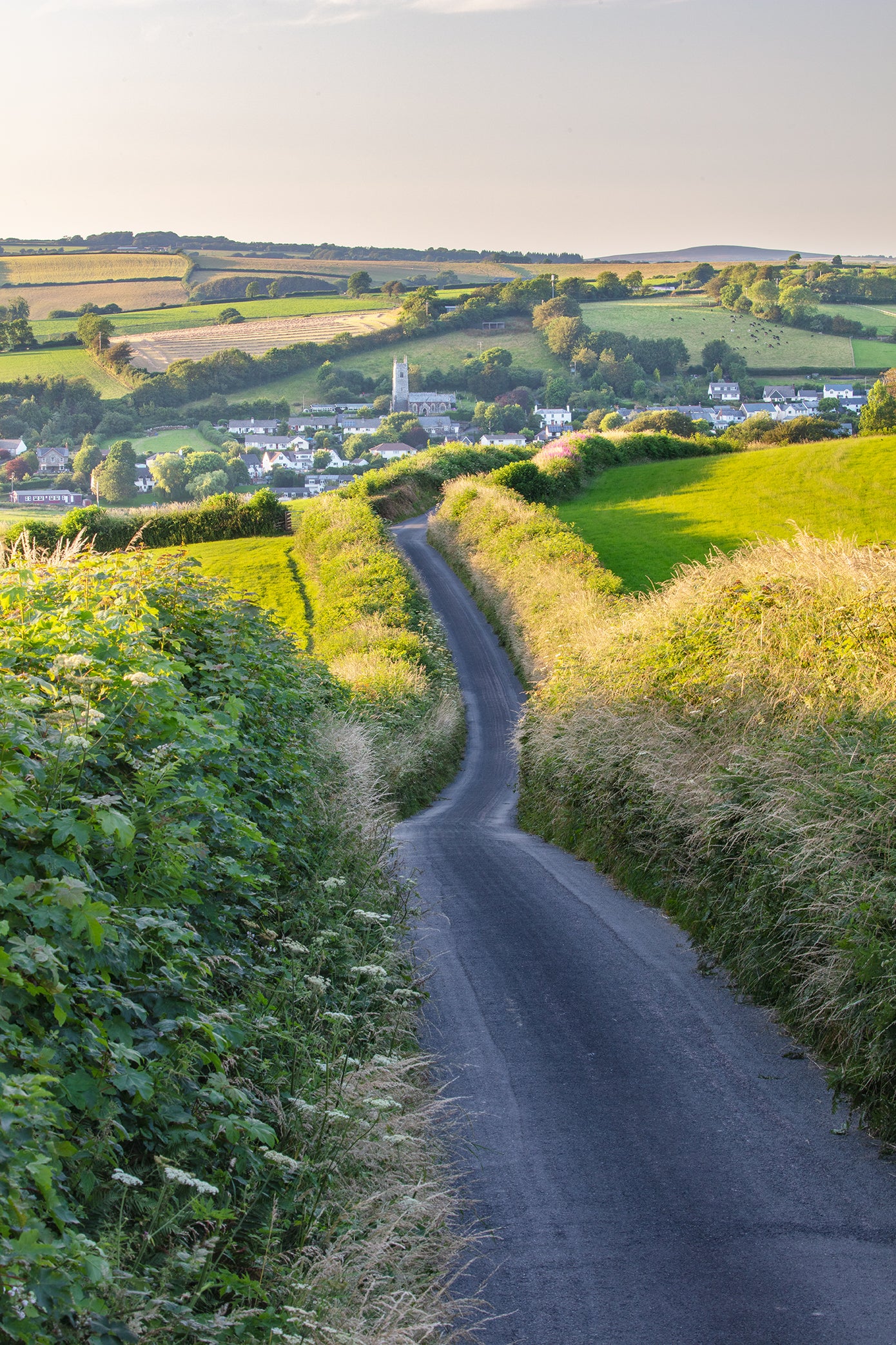 Goodleigh Summer Lane