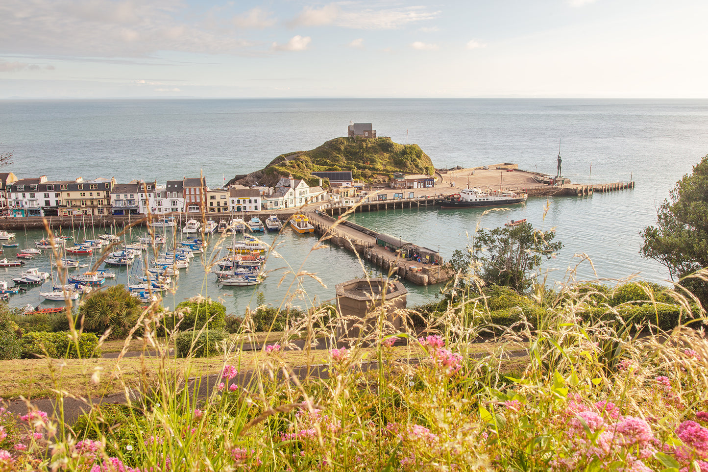 Summer Above Ilfracombe Harbour Two