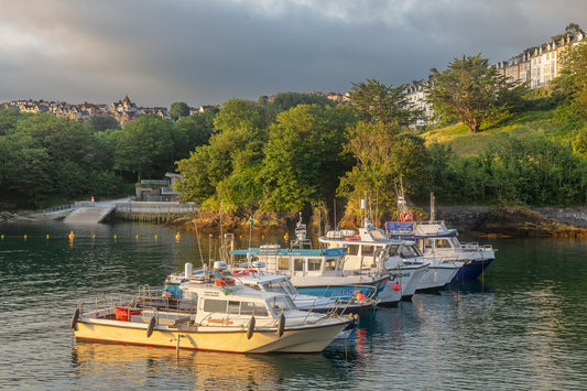 Ilfracombe Harbour
