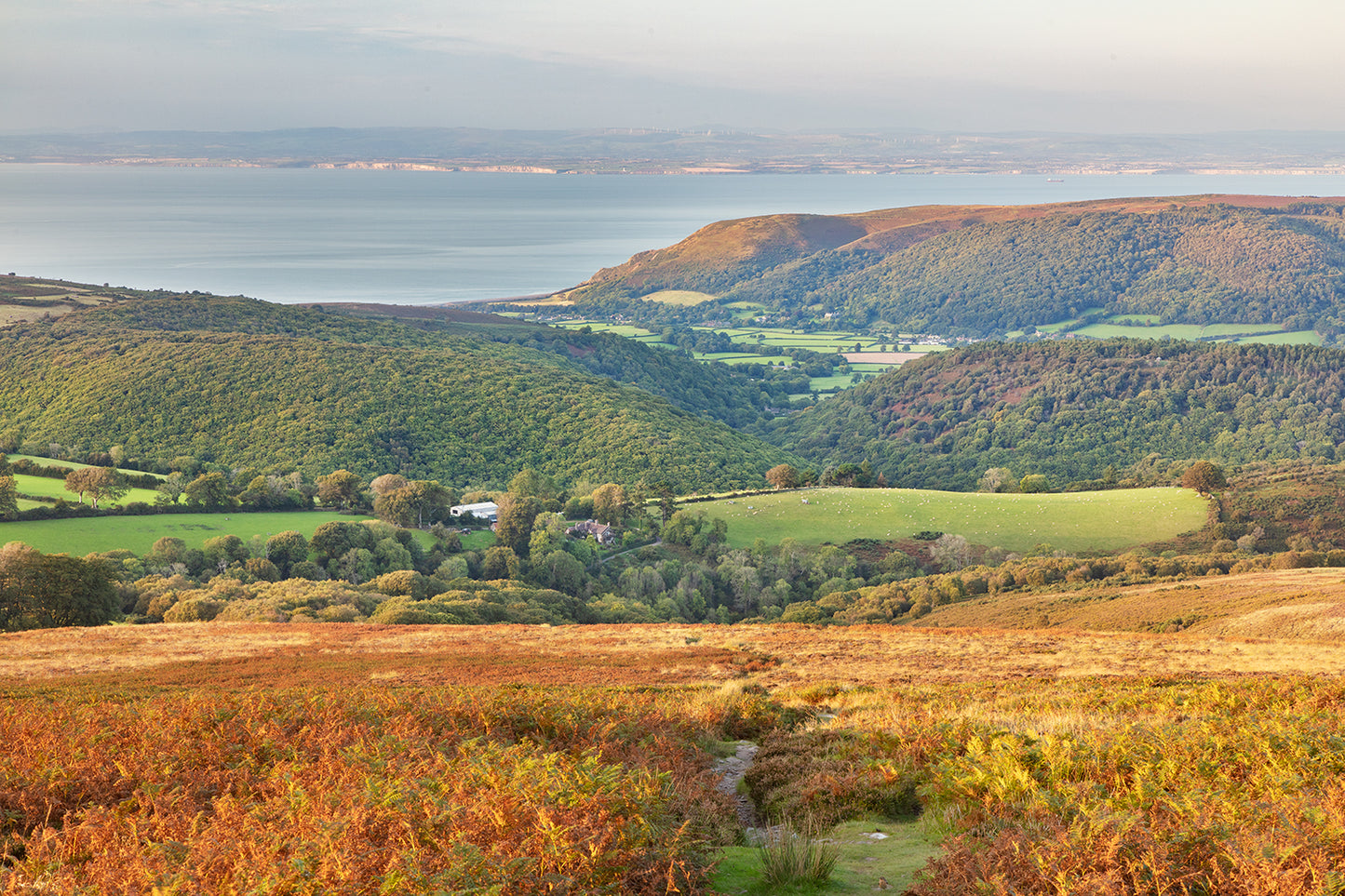 The Slopes of Dunkery Beacon