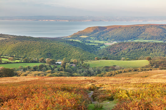 The Slopes of Dunkery Beacon