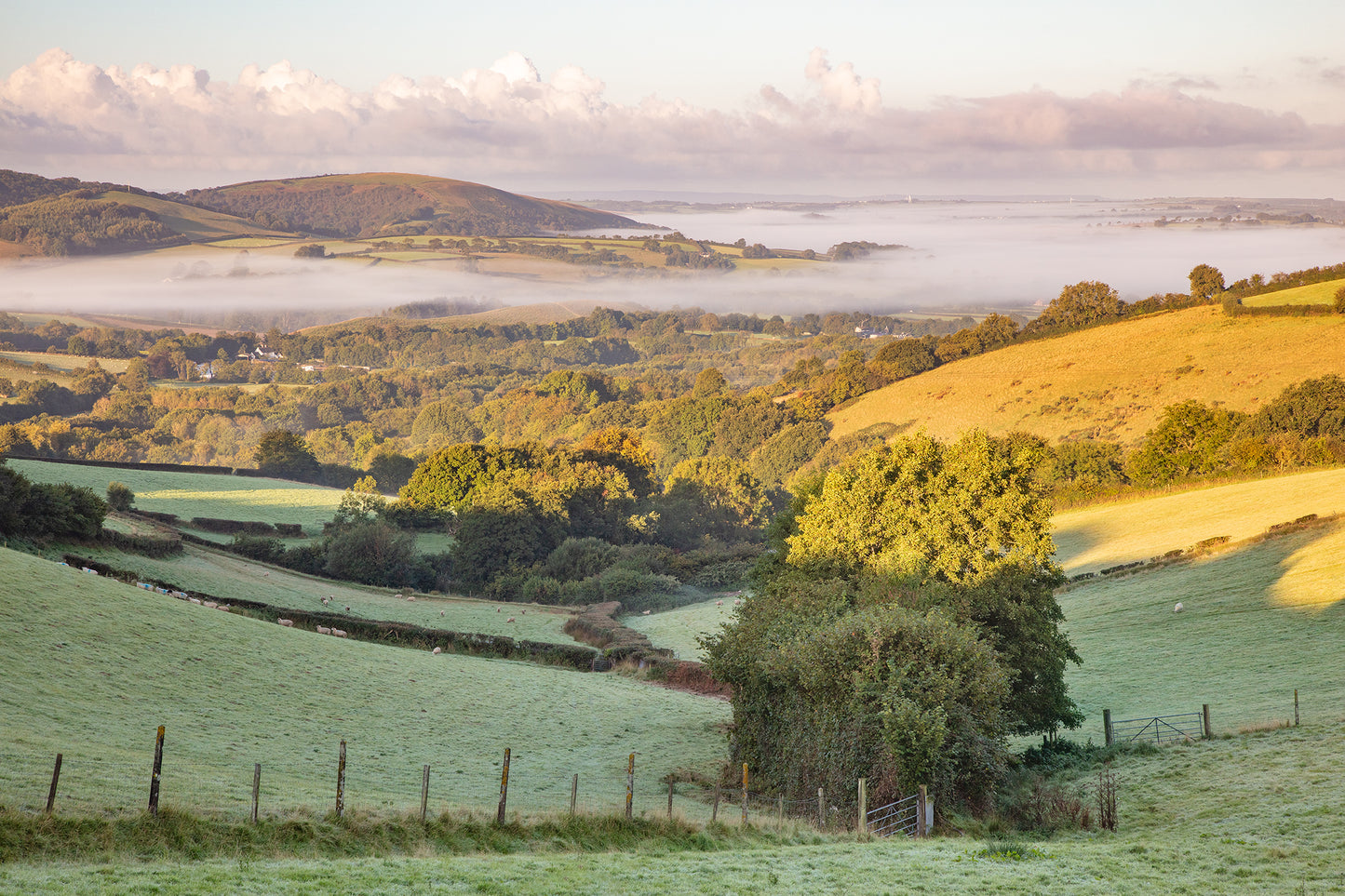 Swimbridge Towards Codden Hill