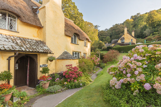 Selworthy Cottage