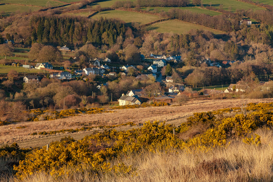 Withypool Evening Light