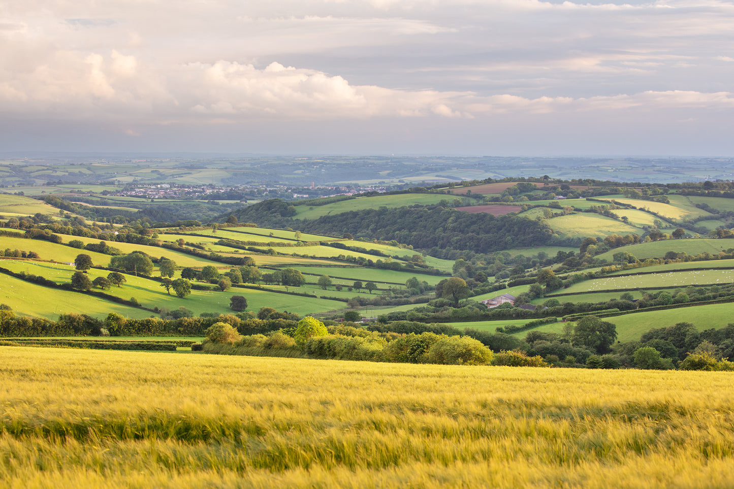 Above South Molton