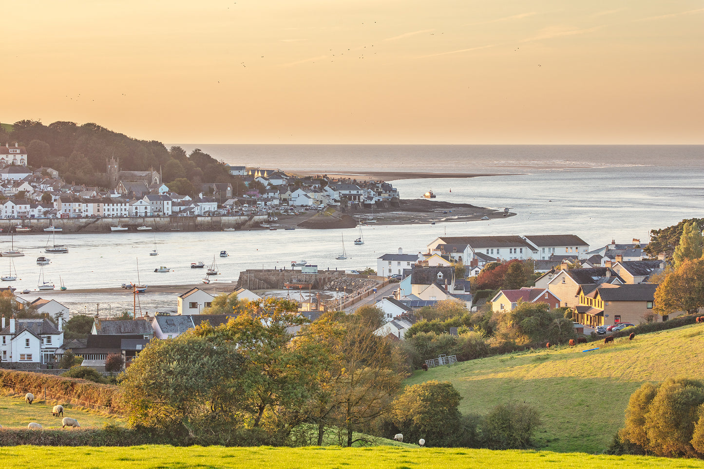 Above Instow Summer Evening