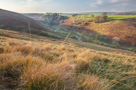 Simonsbath Autumn