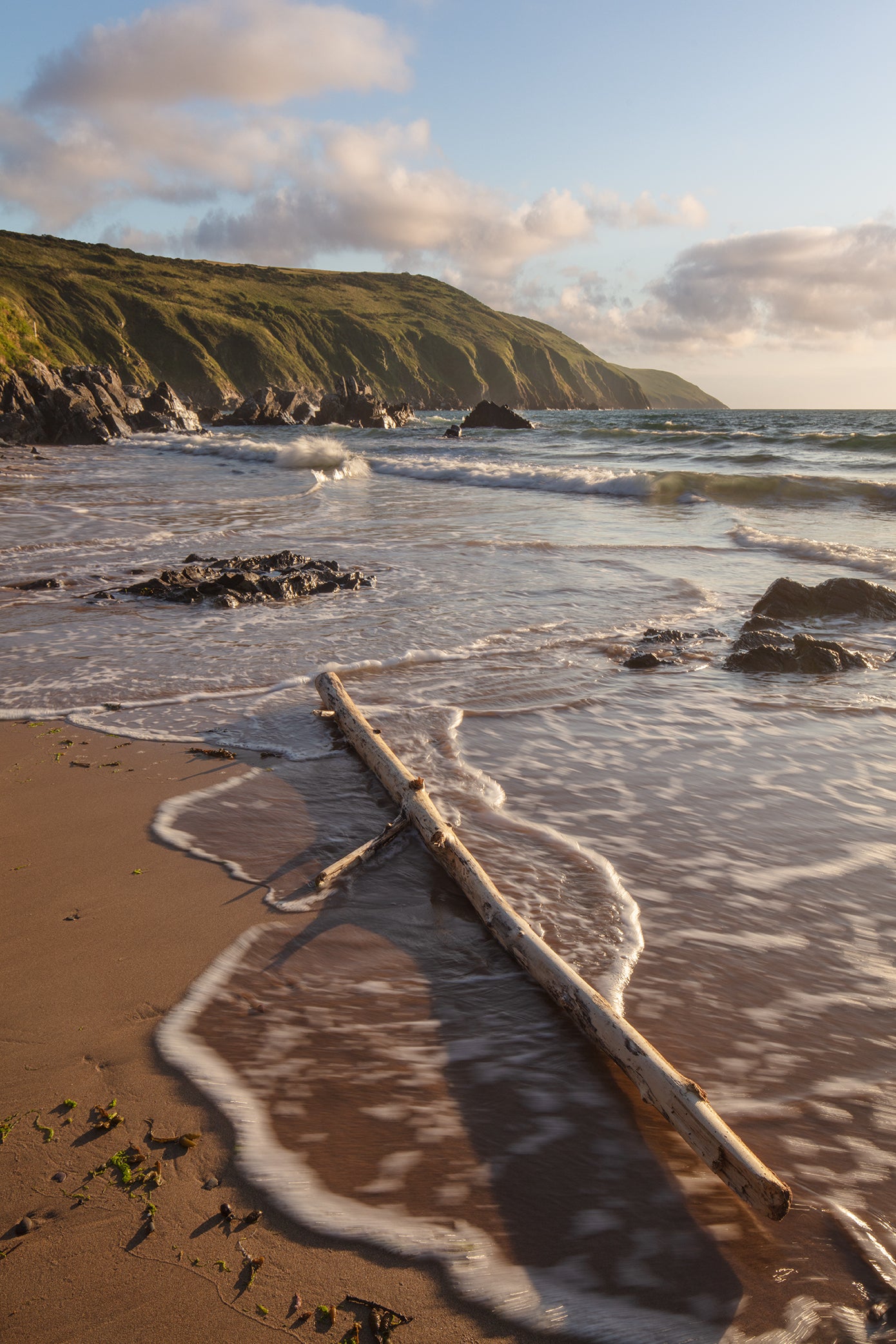 Putsborough Beach Driftwood