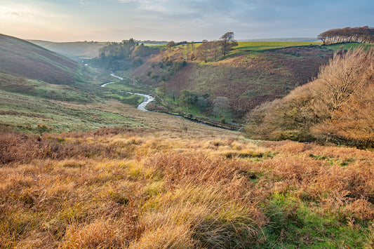 Simonsbath Autumn