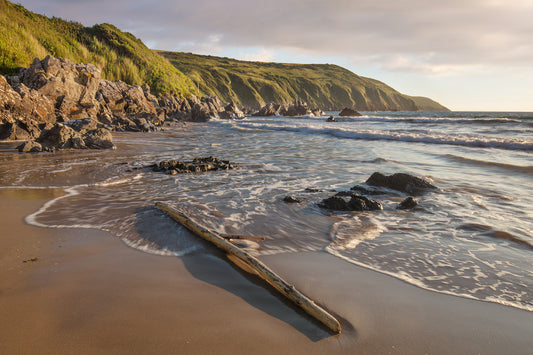 Putsborough Beach Driftwood