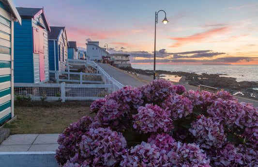 Westward Ho Huts
