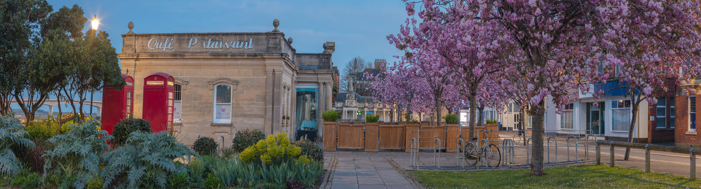 Barnstaple Cherry Blossom Panorama