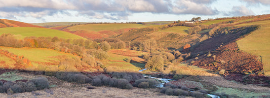 Sherdon hutch Panoramic