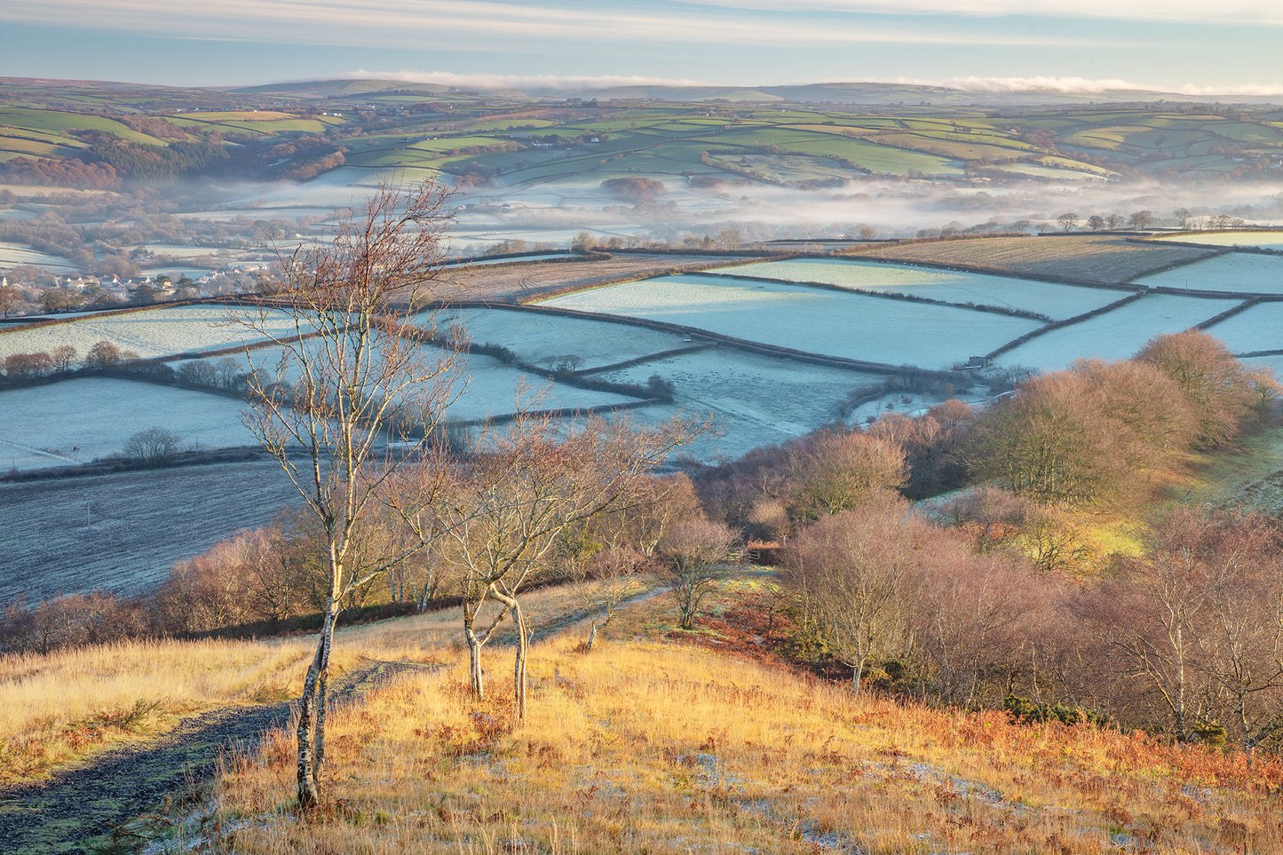 Codden Hill Sunrise