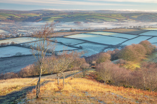 Codden Hill Sunrise