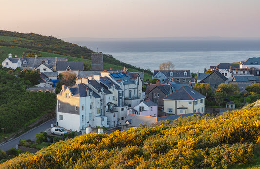 Mortehoe Spring Gorse