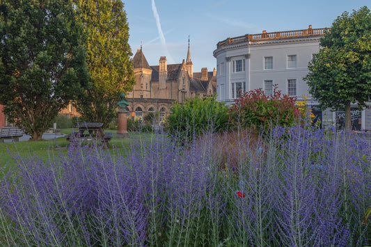 Barnstaple Square Summer