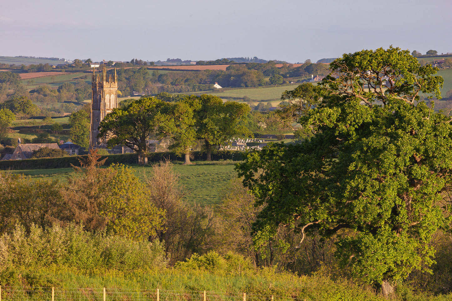 Chittlehampton Spring