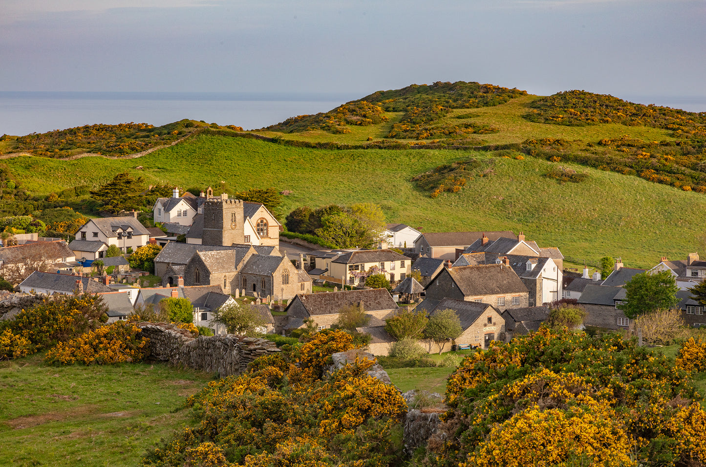 Mortehoe Spring Gorse