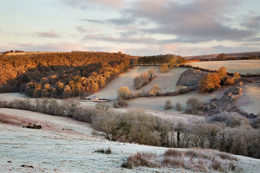 Hawkridge Frost