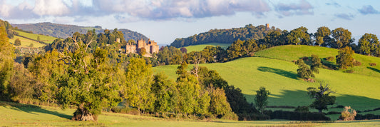 Dunster Castle Panorama