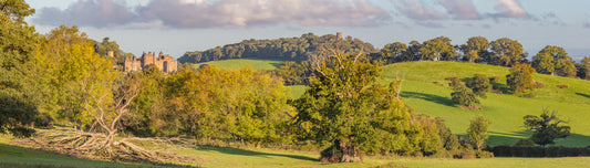 Dunster Castle Panorama