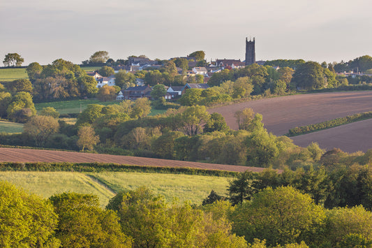 Buckland Brewer Church