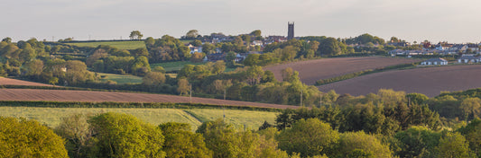 Buckland Brewer Summer Panorama