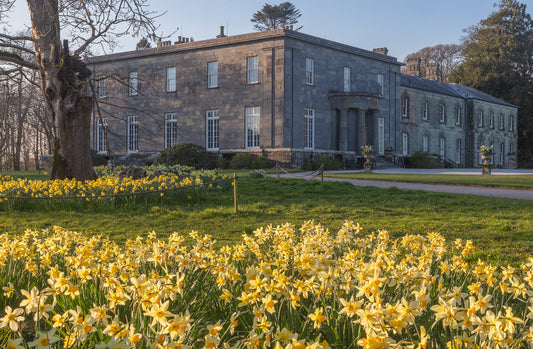 Arlington Court