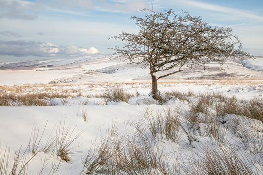 Dunkery Beacon Winter