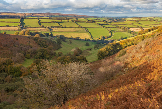 Winsford Hill Punchbowl Autumn