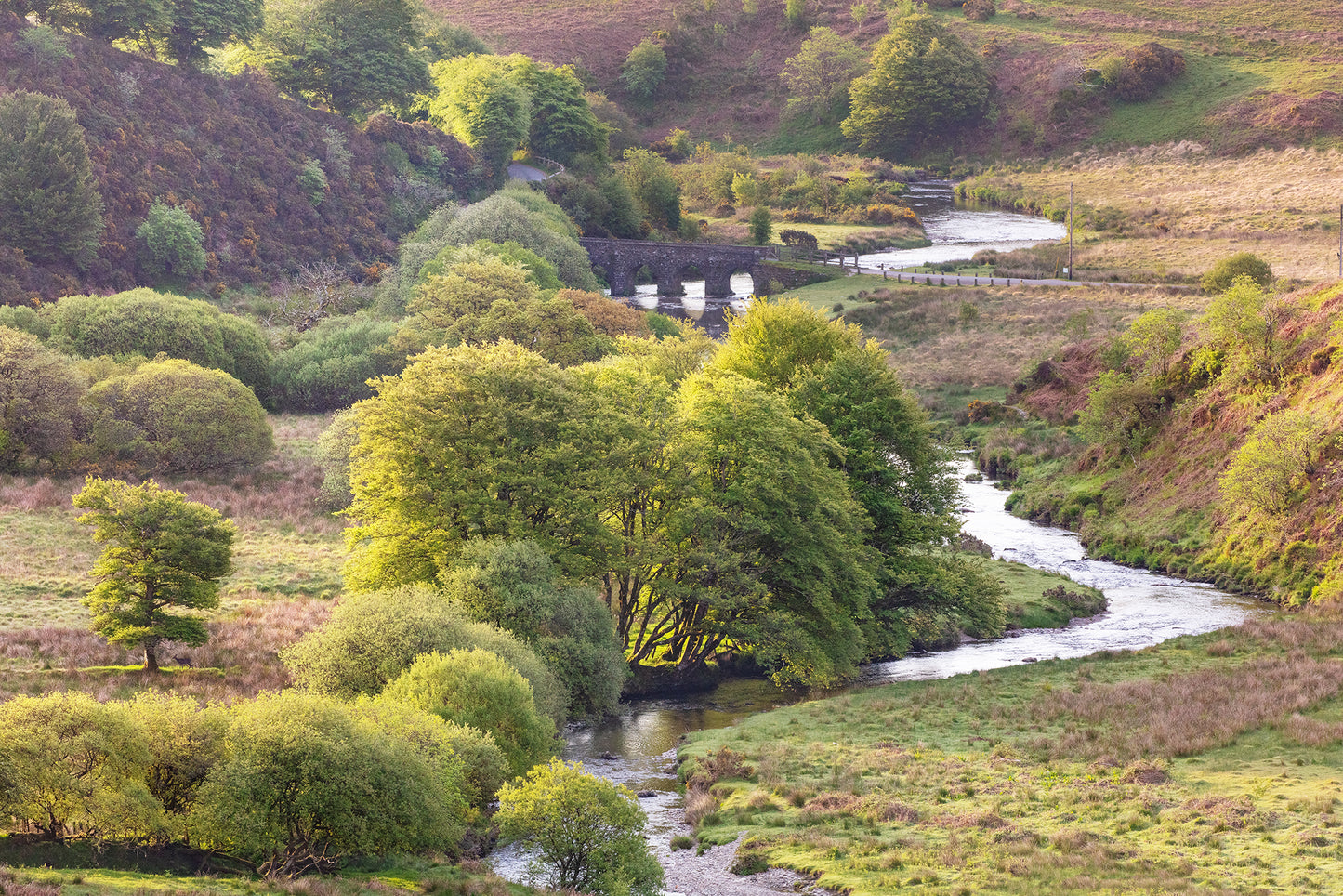 Landacre Bridge Summer