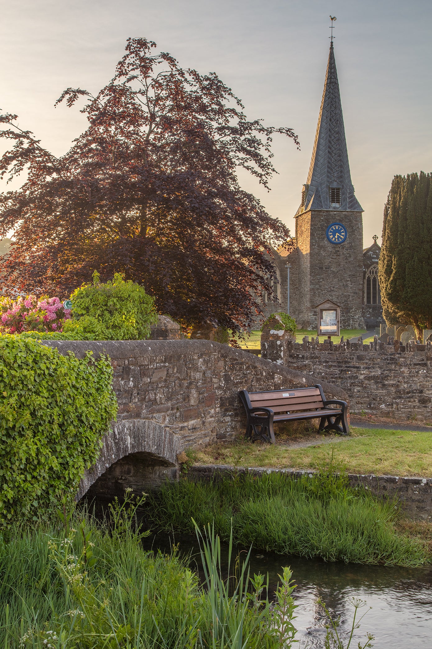 Swimbridge Church (Portrait)