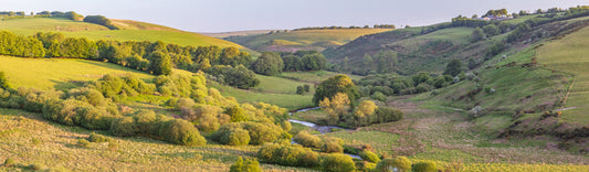 Sherdon Hutch Spring Panorama