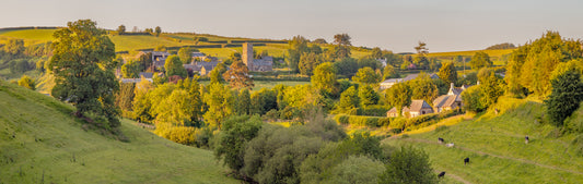 Molland Summer Ponarama