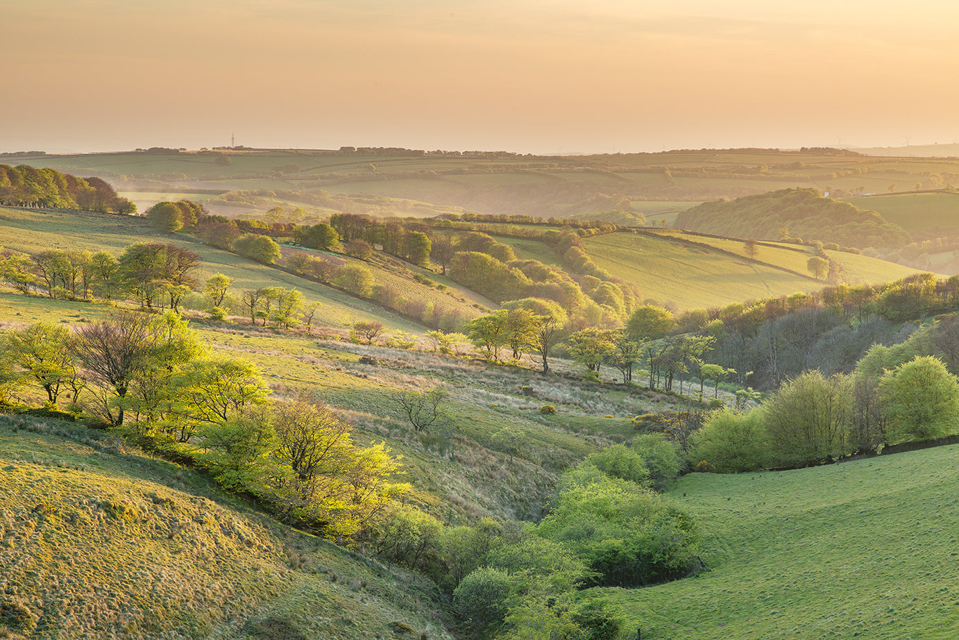 Challacombe Spring Light