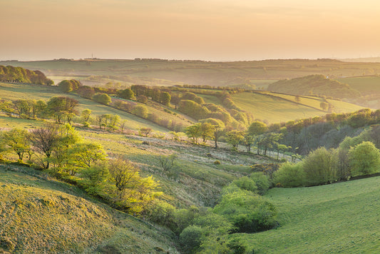 Challacombe Spring Light