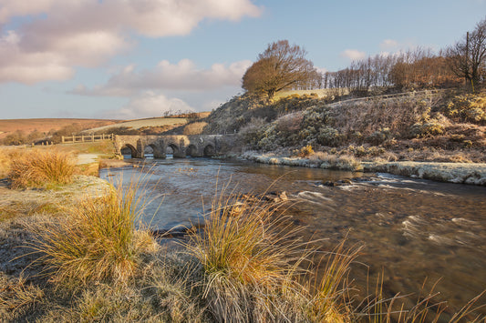 Landacre Bridge Early Spring