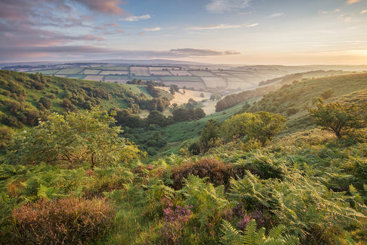 Winsford Hill The Punchbowl