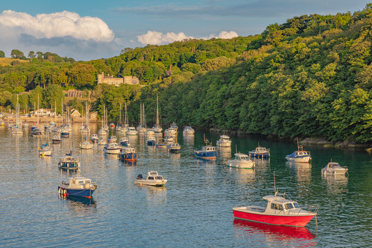 Watermouth Cove Summer