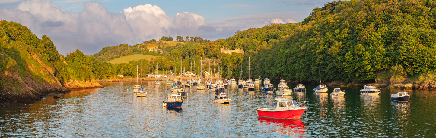 Watermouth Cove Summer Panorama