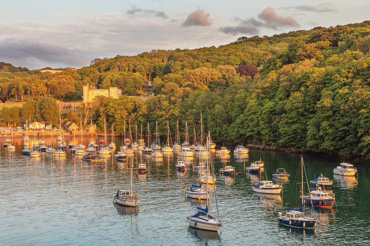 Watermouth Cove Summer