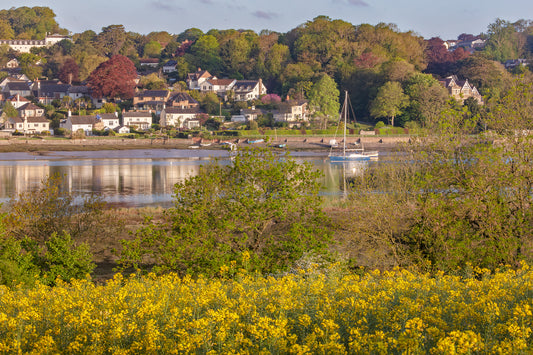Looking towards Cleave Quay Bideford