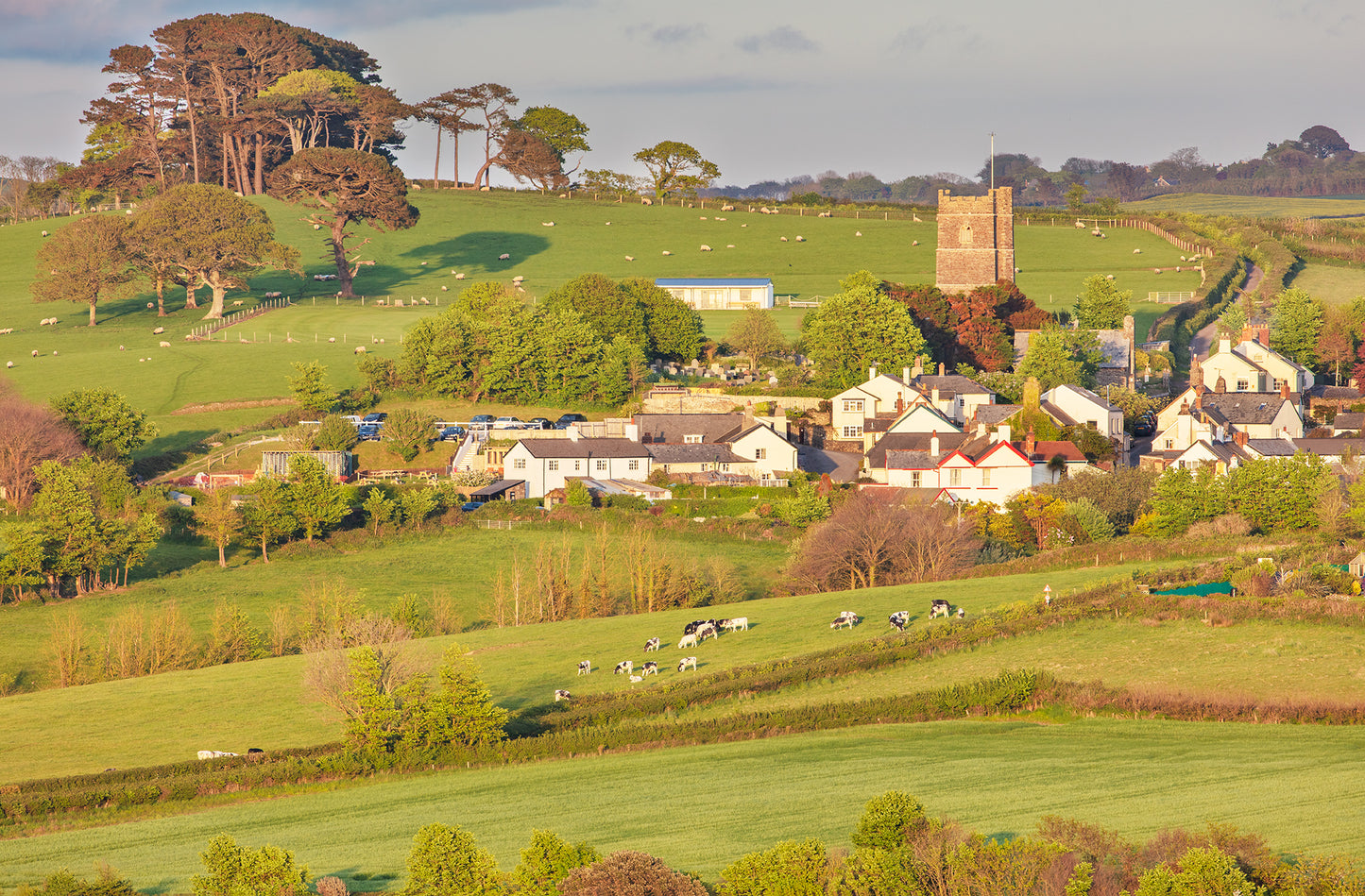 Westleigh Afternoon light