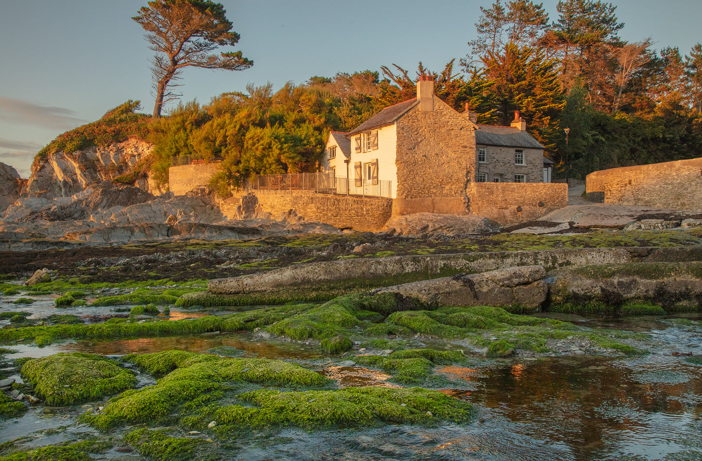 Lee Bay Low Tide