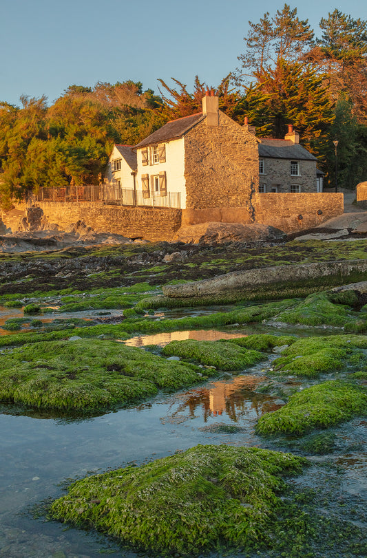 Lee Bay Low Tide