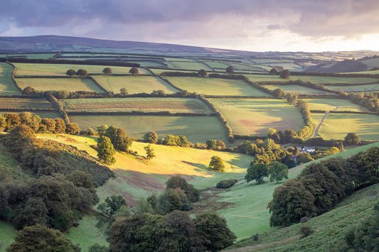 Winsford Hill The Punchbowl