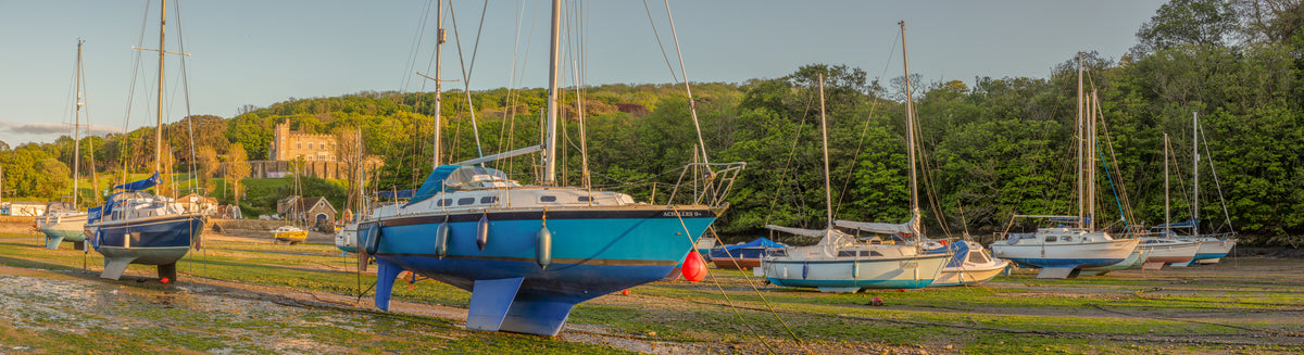Watermoth Cove Lowtide Panorama