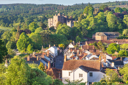 Above Dunster Village