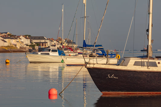 Appledore Morning Light